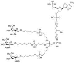 Figure 112016114379466-pct00094