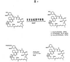 Figure 931165571_IMG10