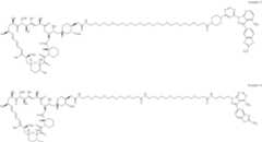 Figure US12048749-20240730-C00356