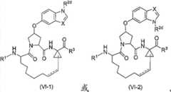 Figure BDA00001685001200101