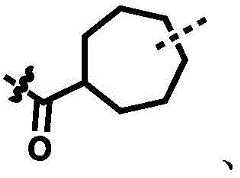 Figure BDA0002964098100000566