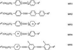 Figure 112010051363261-pct00015