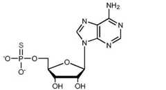 Figure BDA0000457492650000061