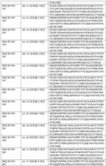 Figure BDA0003429348370000921