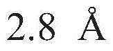 Figure BDA0002785795260001597