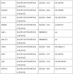 Figure BDA0004078918960001691