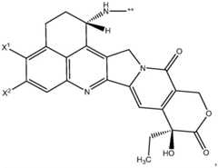 Figure FDA0003674984860000392