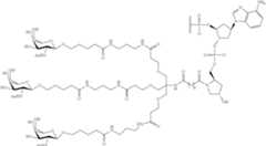 Figure US10683499-20200616-C00076