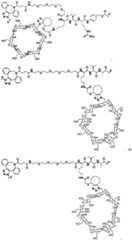 Figure BDA0002889616220001111