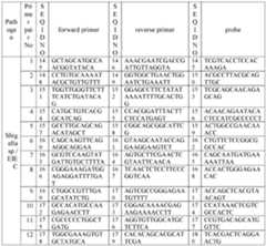 Figure imgf000015_0002