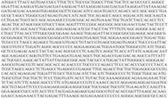 Figure PCTCN2022073808-appb-000069