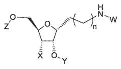 Figure imgf000023_0005