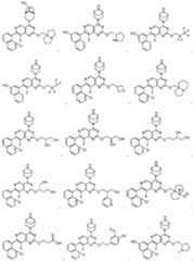 Figure imgf000024_0001