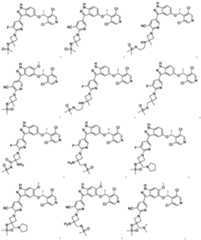 Figure imgf000027_0002