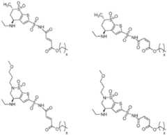 Figure BDA0002537542900001261