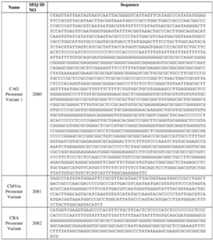 Figure imgf000175_0001