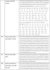 Figure imgf000091_0001