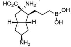 Figure imgf000246_0001