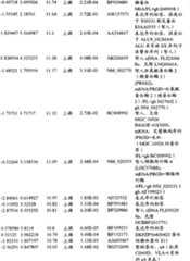 Figure BPA00001280678302261