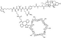 Figure BDA0002889616220003551