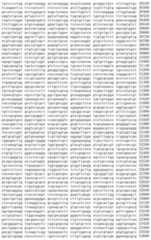 Figure IDA00002091897100161