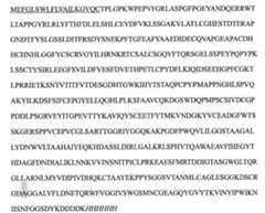 Figure 111115647-A0202-12-0034-2