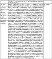 Figure imgf000127_0001