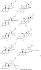 Figure imgf000031_0001