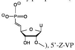 Figure imgf000054_0001