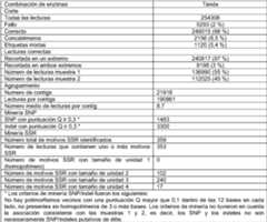 Figure imgf000017_0001