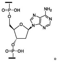 Figure BDA0003357312860000542