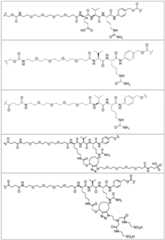 Figure BDA0002889616220000871