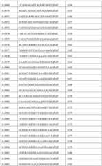 Figure BDA0002356059890002061