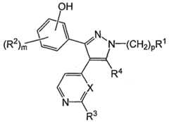Figure imgf000005_0001