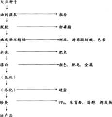 Figure 9980603000061