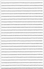 Figure 108128641-A0202-12-0126-975