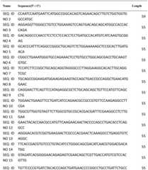 Figure BDA0002845367820000031