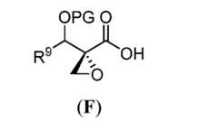 Figure imgf000298_0002