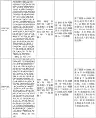 Figure BDA0002939076220001861