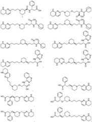 Figure imgf000341_0001