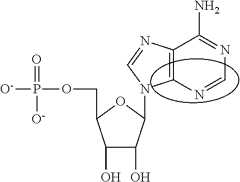 Figure US09572897-20170221-C00087