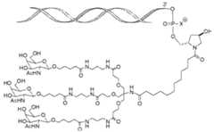 Figure imgf000008_0002