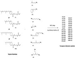 Figure imgf000028_0001