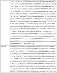 Figure imgf000371_0001