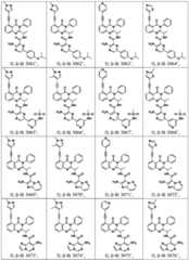 Figure BDA0003142399140001571