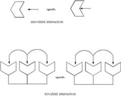 Figure US06593497-20030715-C00005