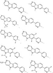 Figure GDA0003638934920000581