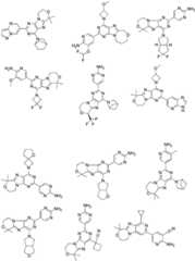 Figure FDA0002486010530000201