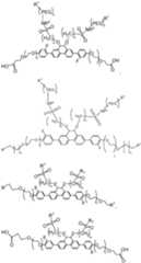 Figure imgf000212_0001