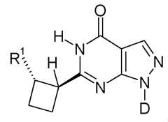Figure 112013003750924-pct00030